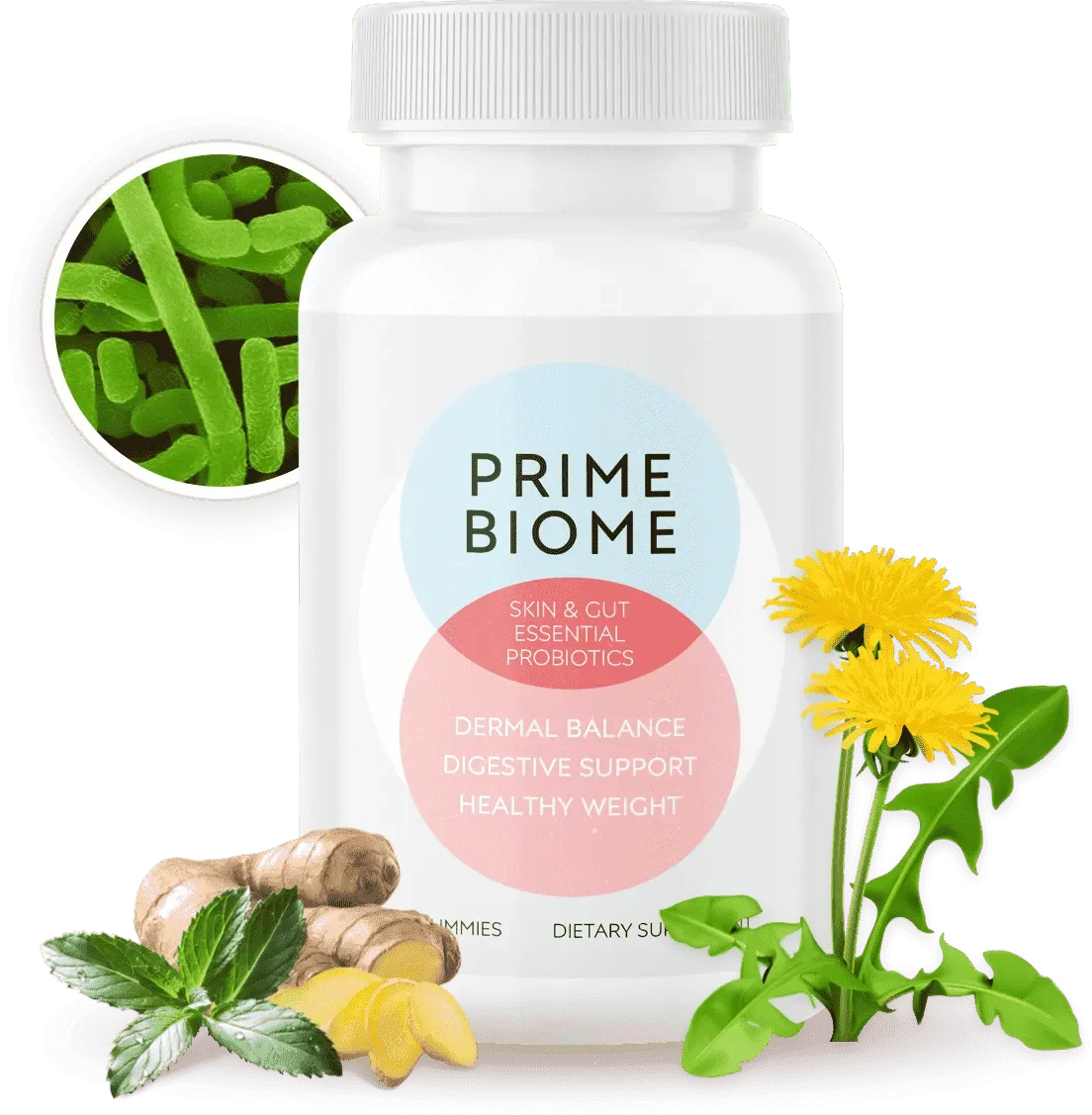 PrimeBiome header bottle